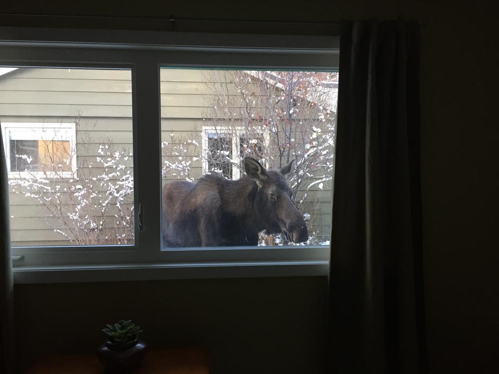 Turnagain Guest House Анкоридж Экстерьер фото
